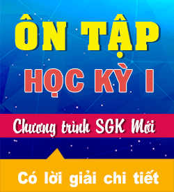 Ôn tập Học kỳ I (KNTT_HH10)